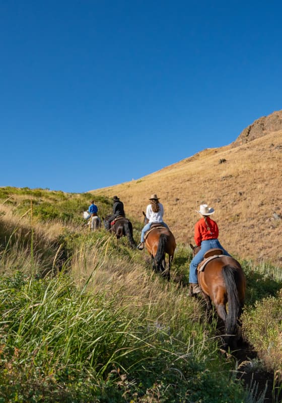 svr_dollar_horsebackriding